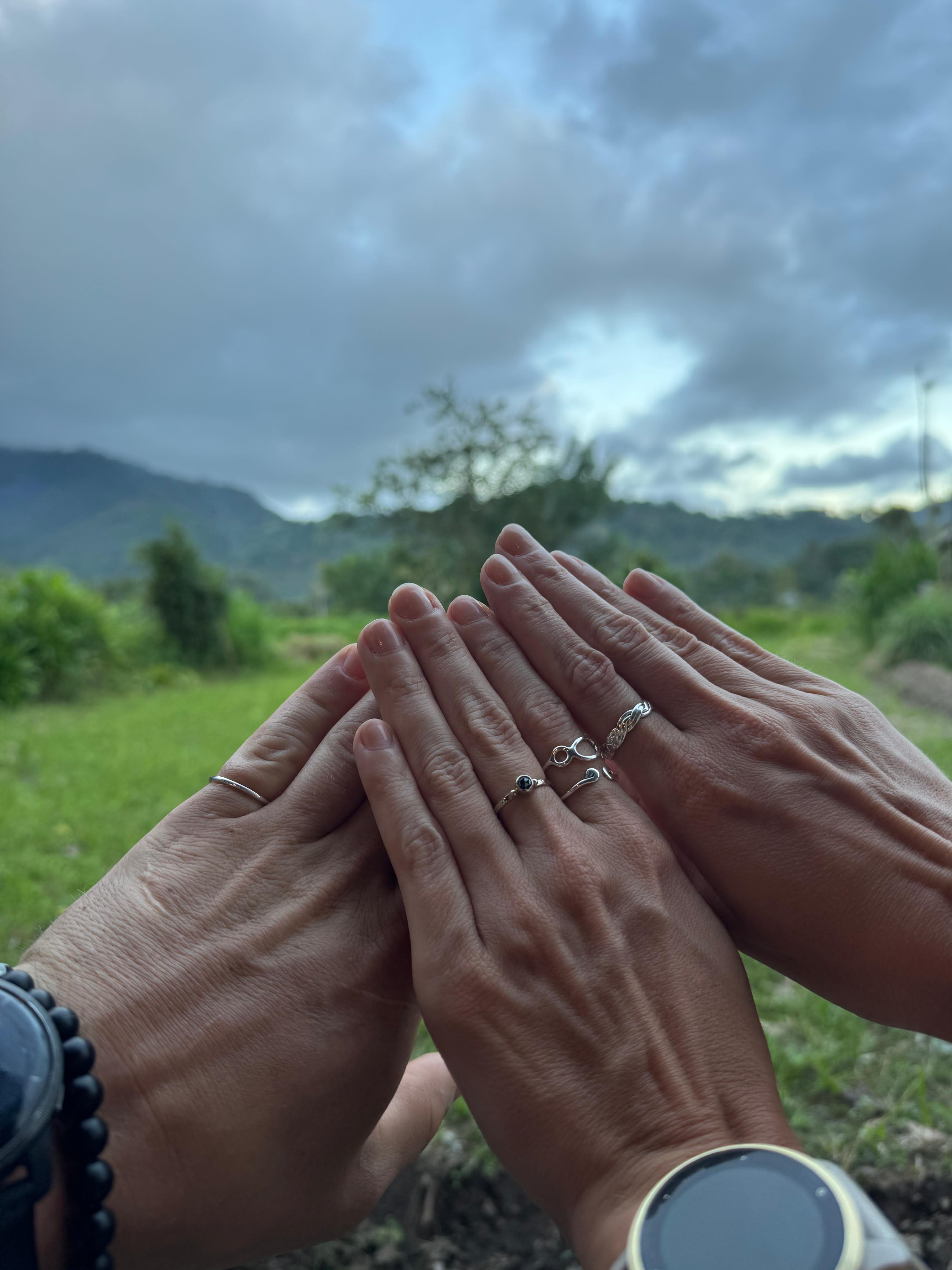 Description of image 3